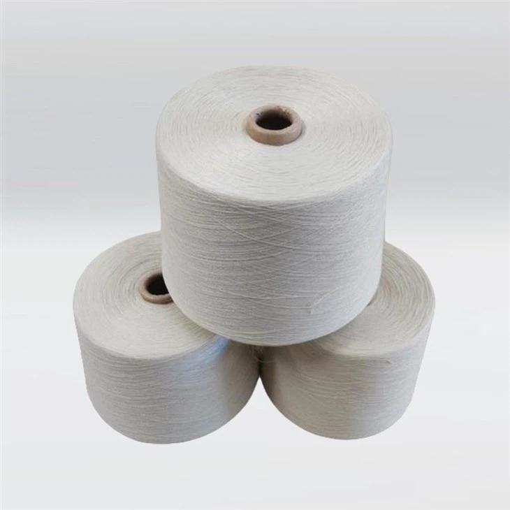 DM_20240204092223_002